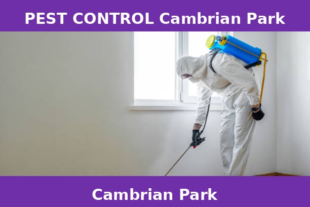 PEST CONTROL Cambrian Park
